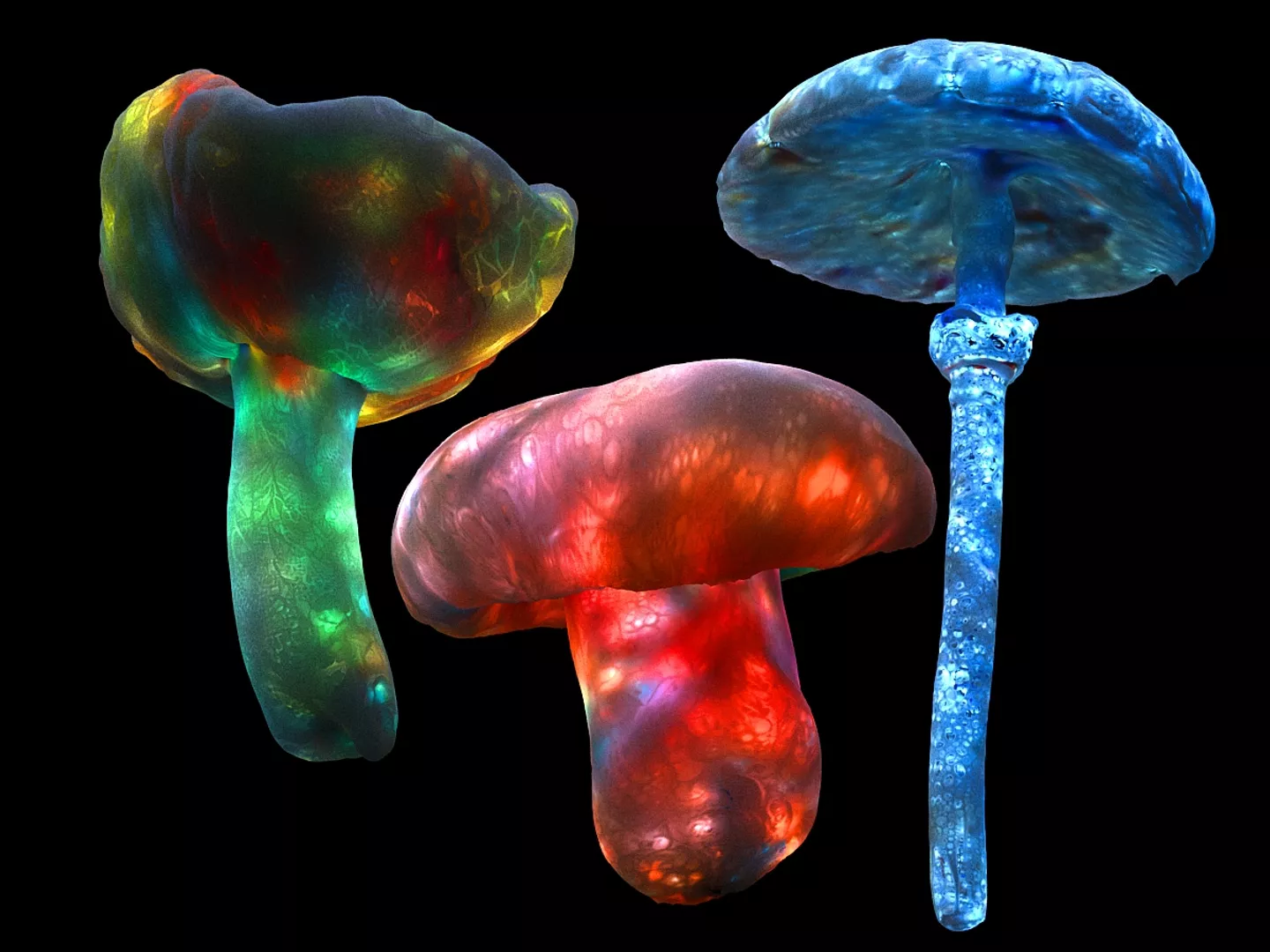 Pandora Mushroom Animated Pack Low-poly 3D model
