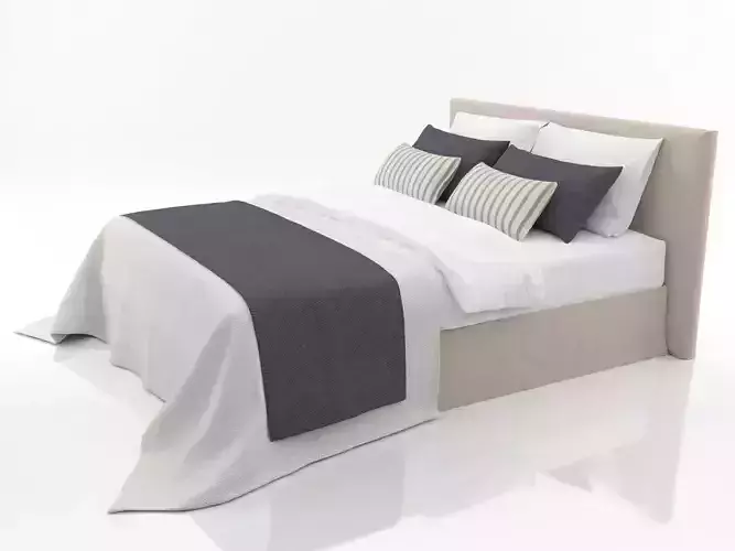 Basis 25  Change 3D model