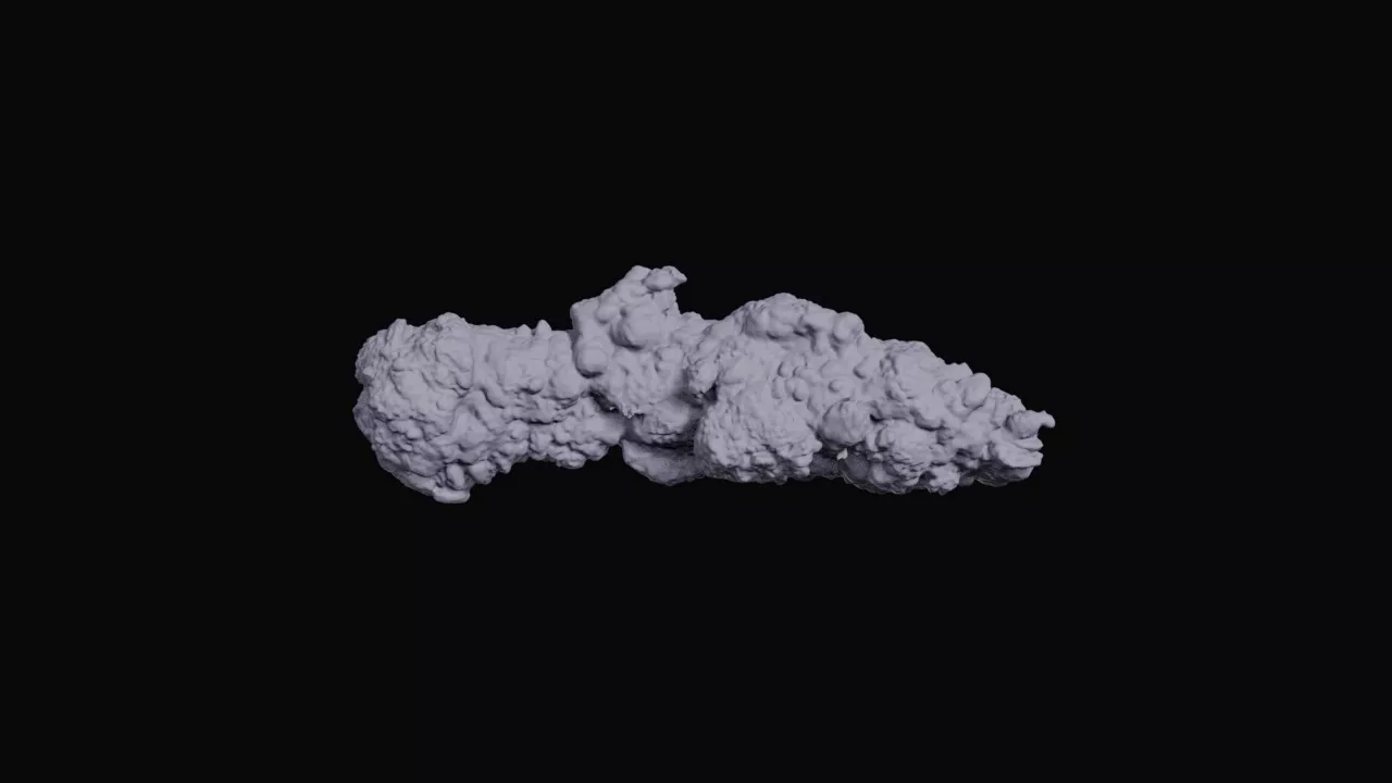 Crispy Fried Chicken Tender 3D print model