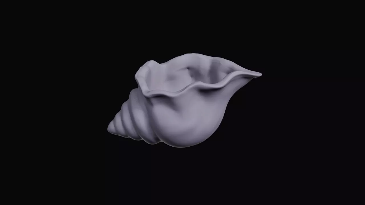 Seashell Shaped Dish Bowl 3D print model