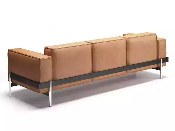 DS-21-03 leather sofa