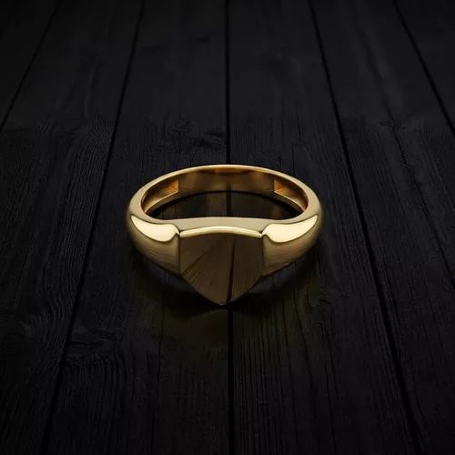 Jewelry Ring v18 L Size