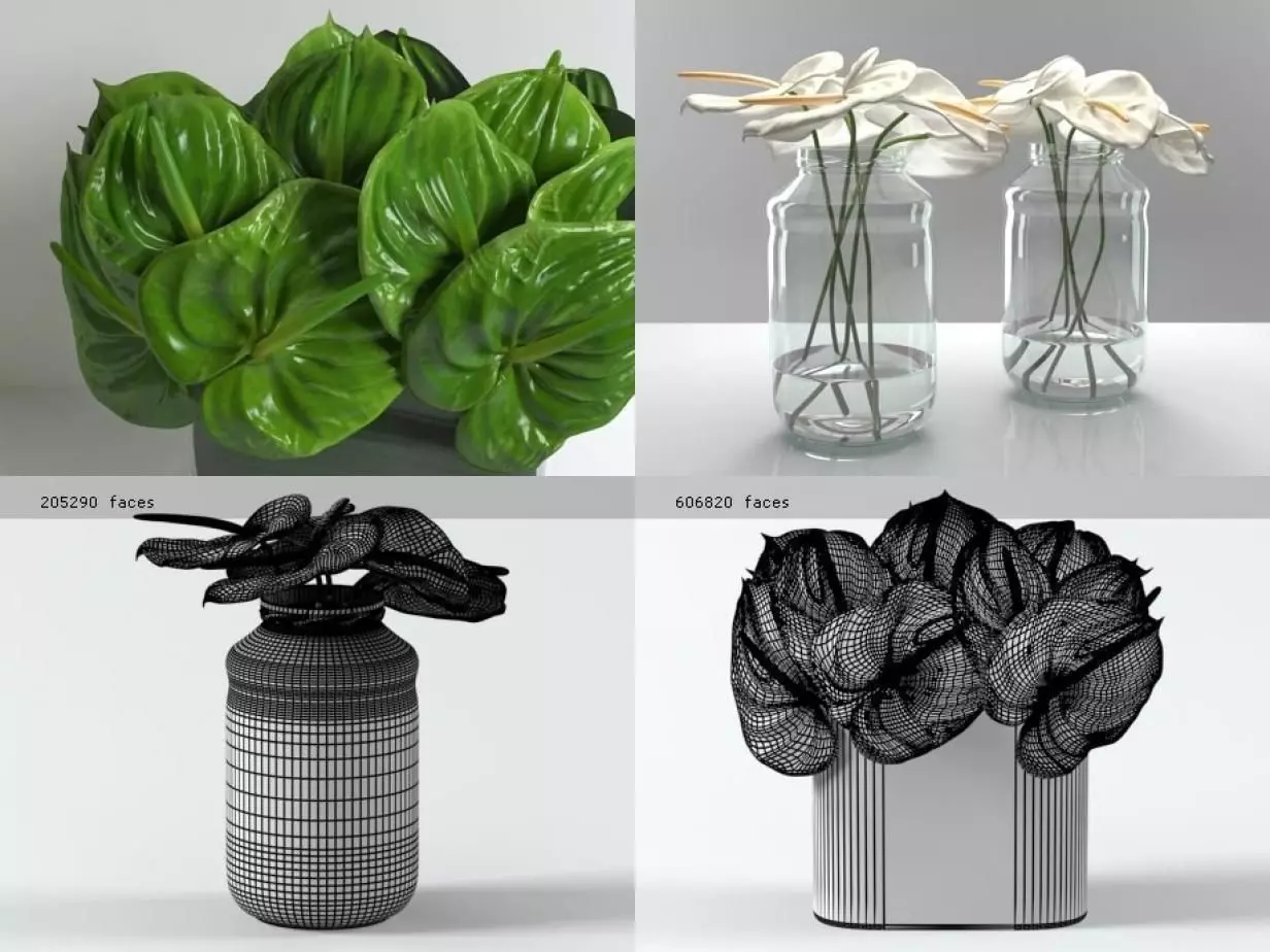 Anthuriums four different plants in vase 3D model_3
