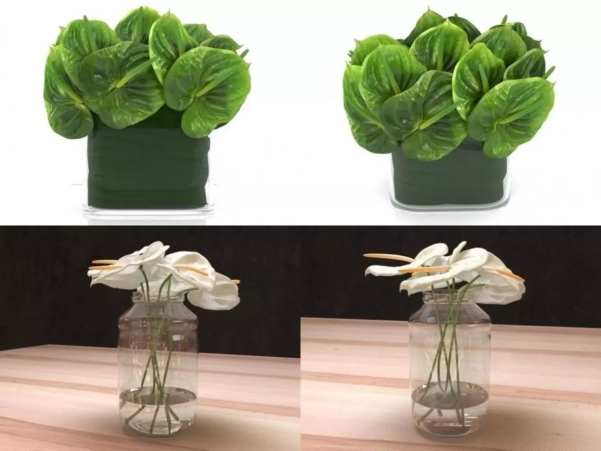 Anthuriums four different plants in vase 3D model_0