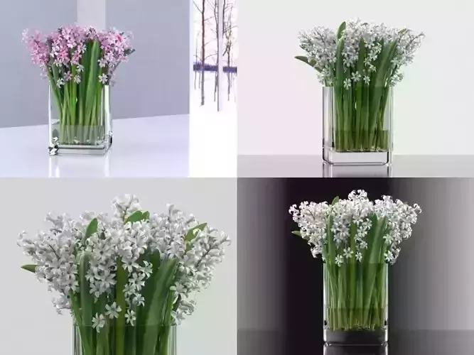 Hyacinth lily of valley in vase 3D model