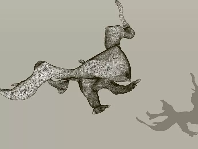 Nighthawk shadow of pokemon flying in air Free 3D print model