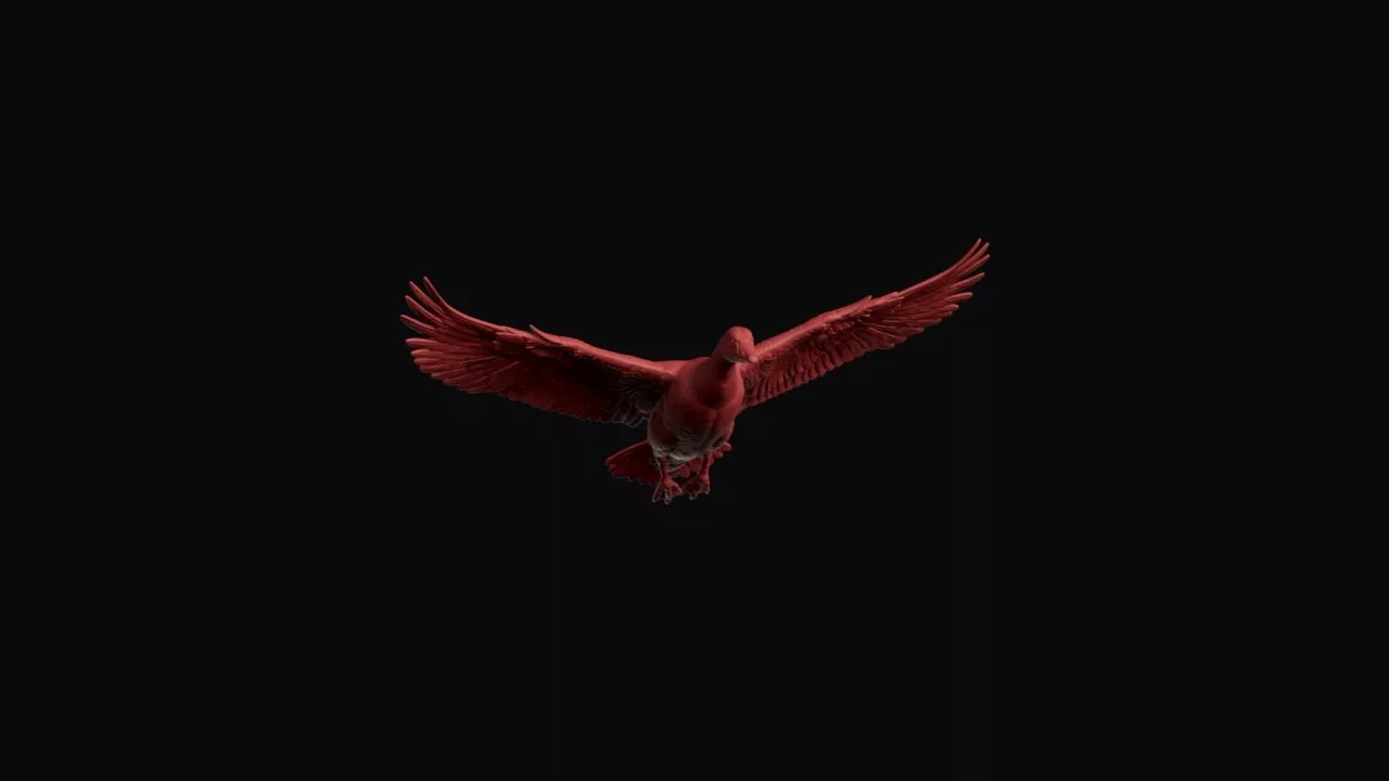 Flying Snow Goose 3D print model