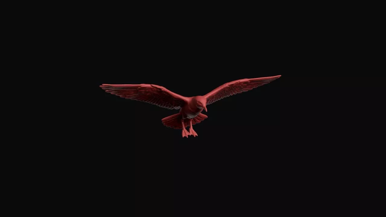 Flying Silver Gull 3D print model