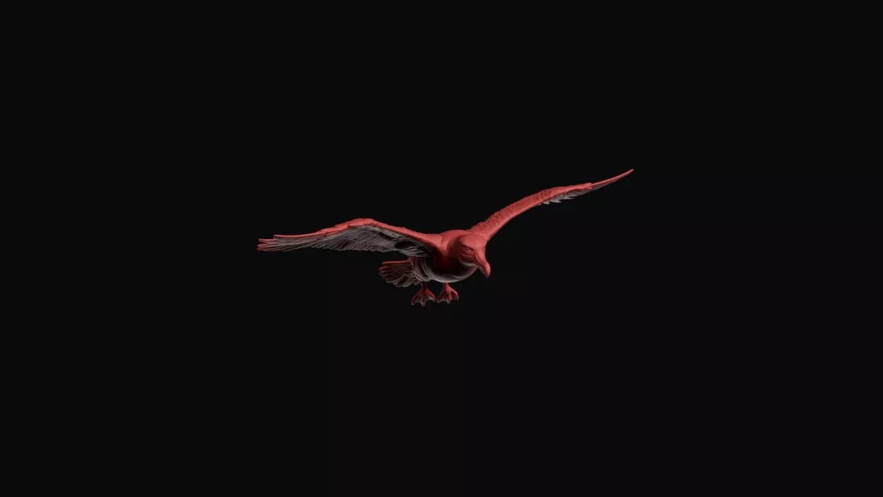 Flying Shy Albatross 3D print model