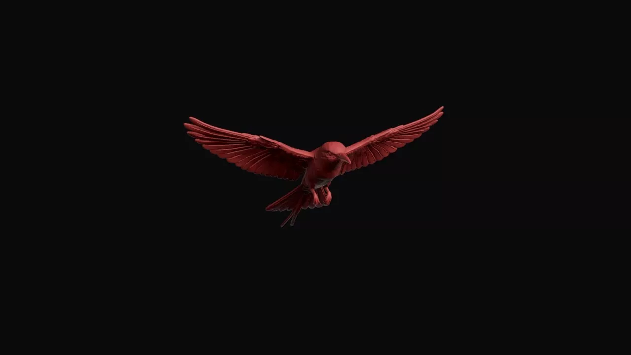 Flying Rainbow Bee-eater 3D print model
