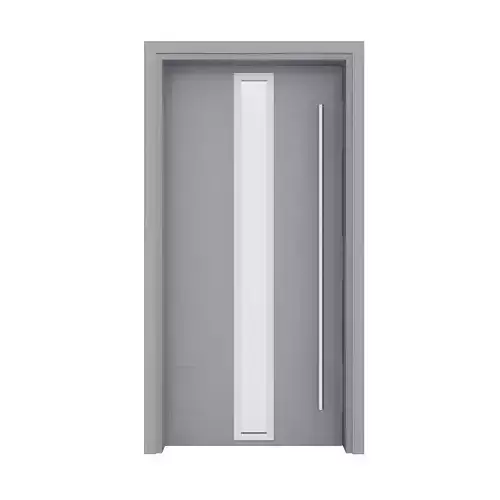 Metal Front Door