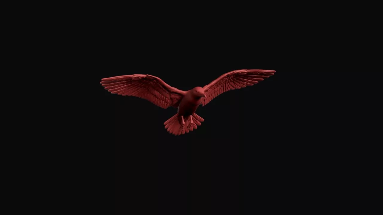 Flying Kittiwake 3D print model