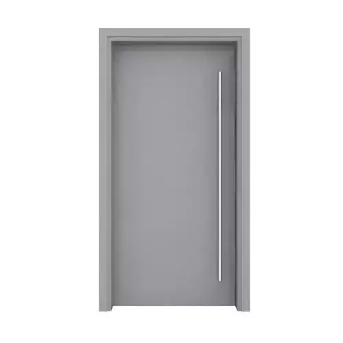 Metal Front Door
