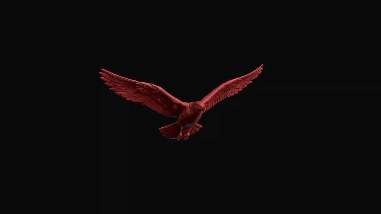 Flying Ivory Gull 3D print model