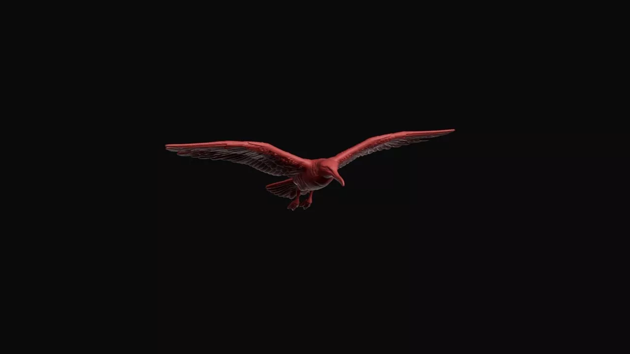 Flying Herring Gull 3D print model