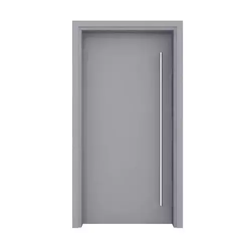 Metal Front Door