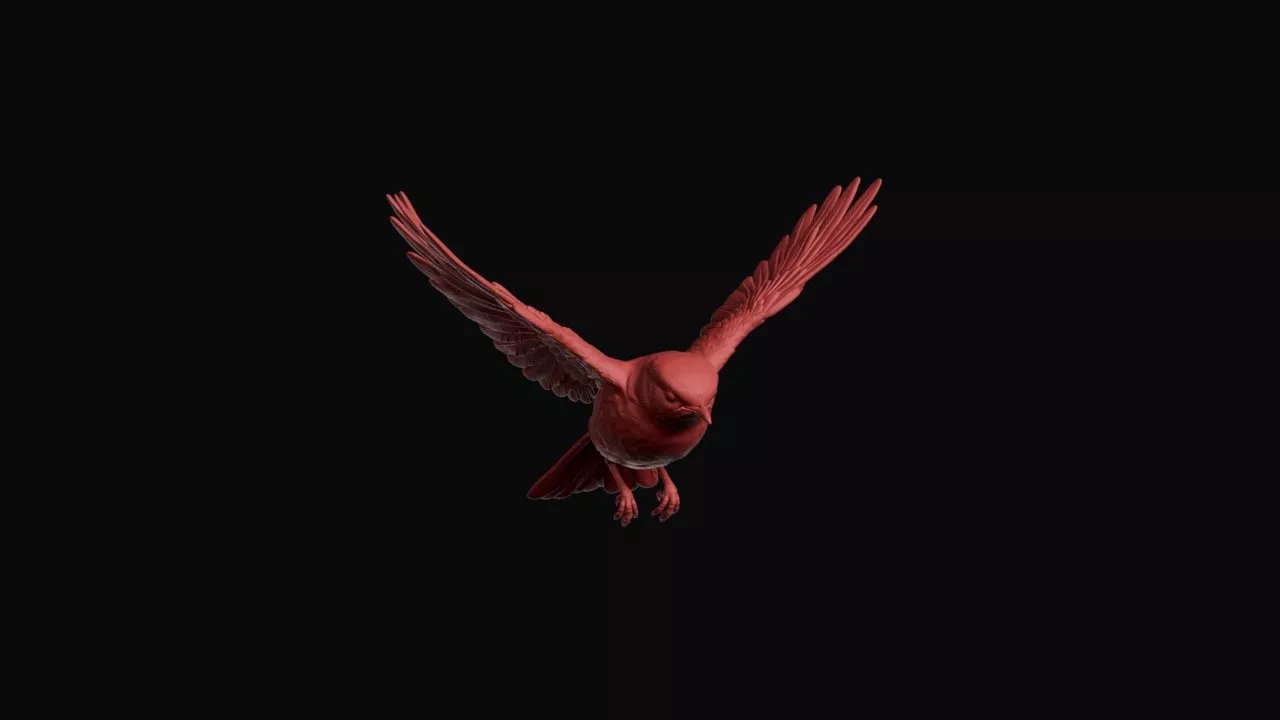 Flying European Robin 3D print model