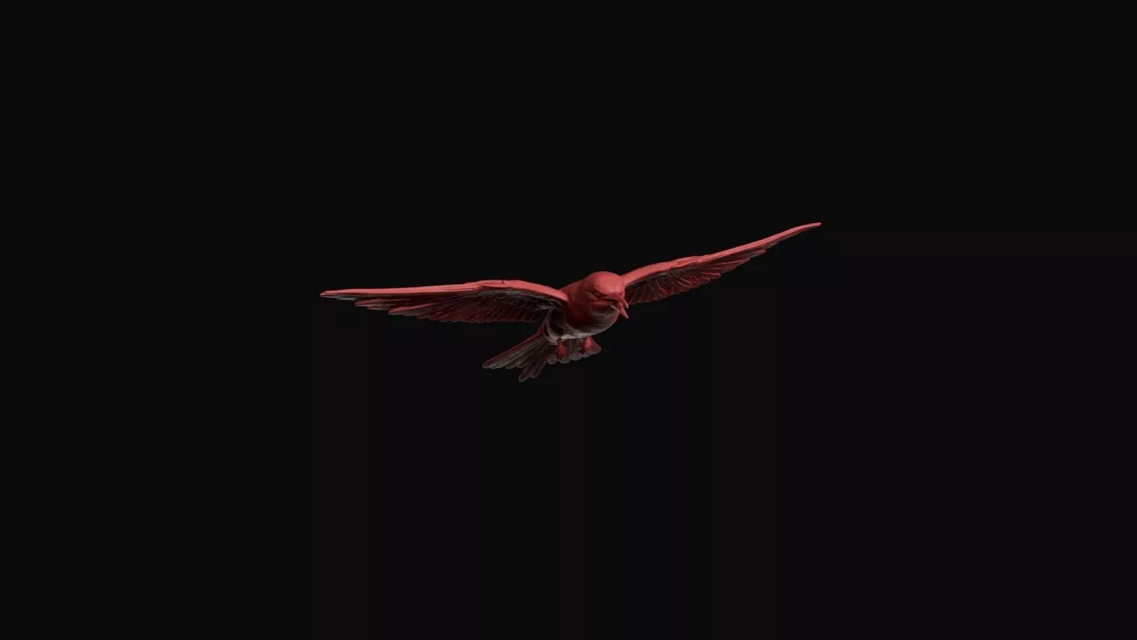 Flying European Bee-eater 3D print model