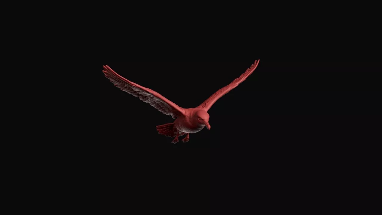 Flying Cape Petrel 3D print model