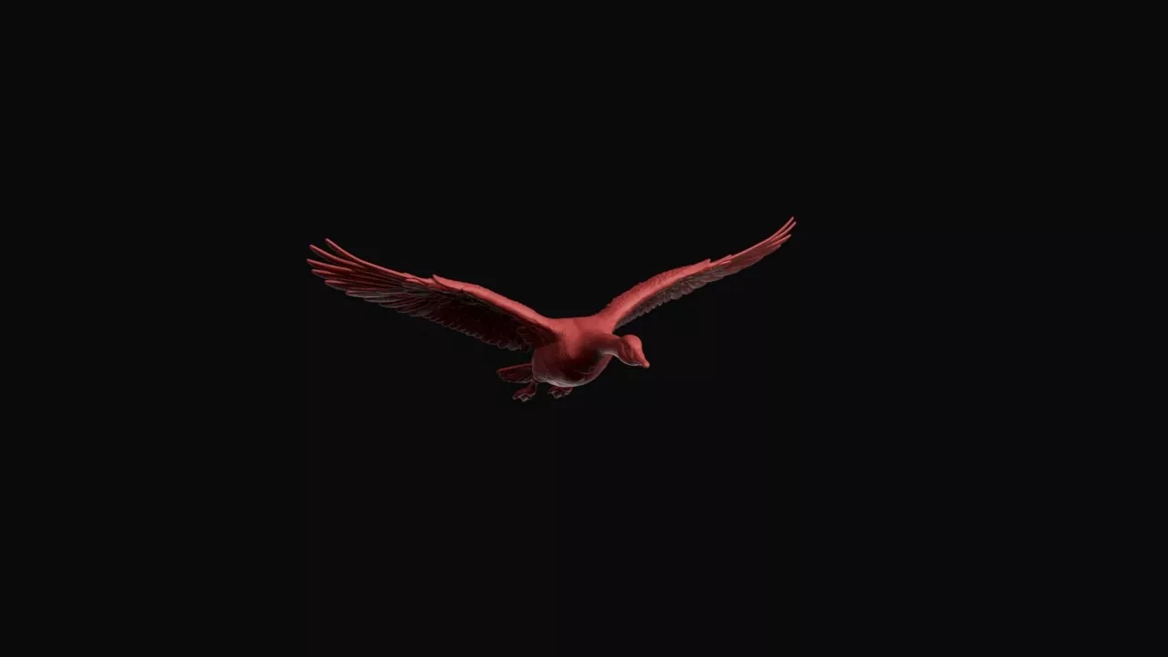 Flying Canada Goose 3D print model