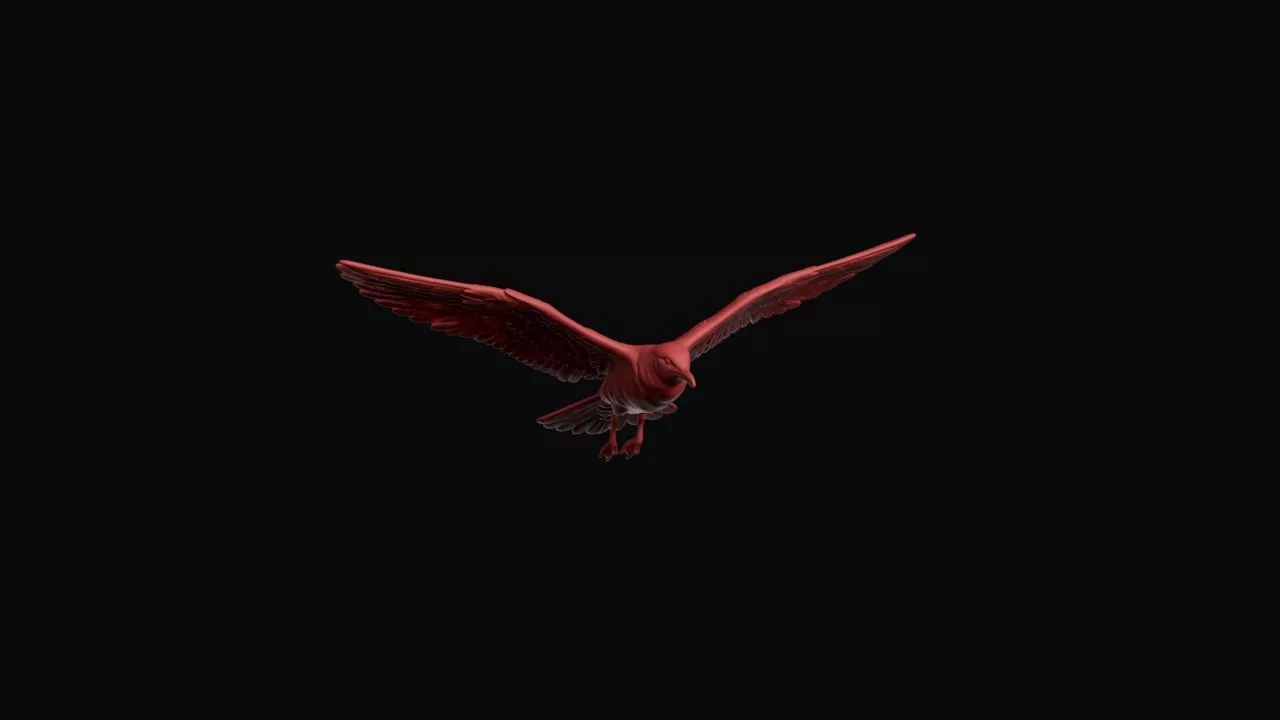 Flying Black-headed Gull 3D print model