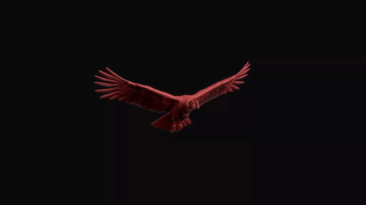Flying Andean Condor 3D print model