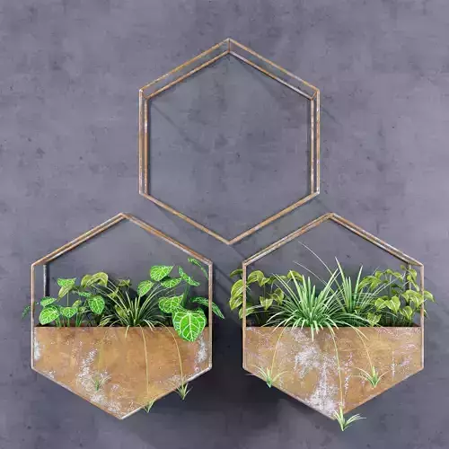 Hexagon shelves for plants