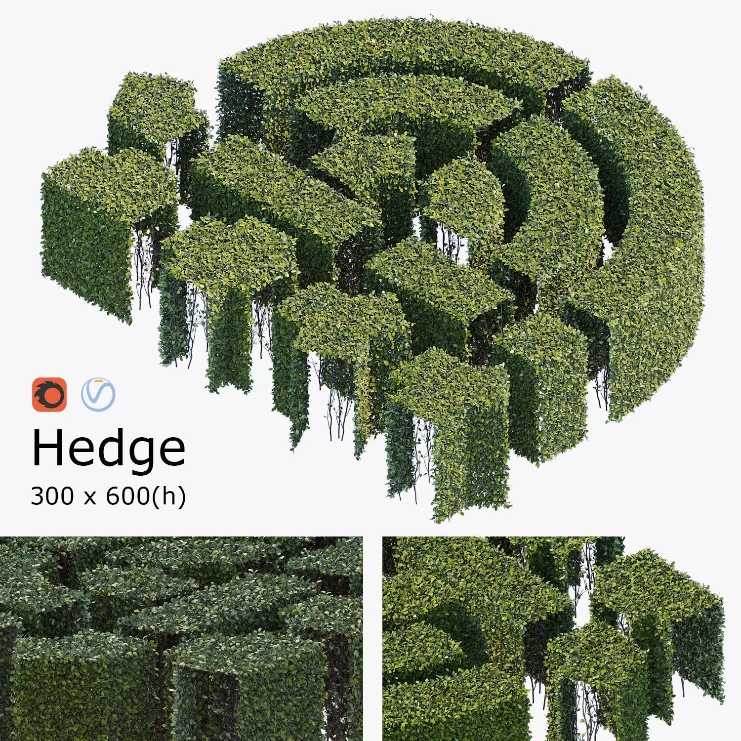 Hedge 300x600 3D model_0