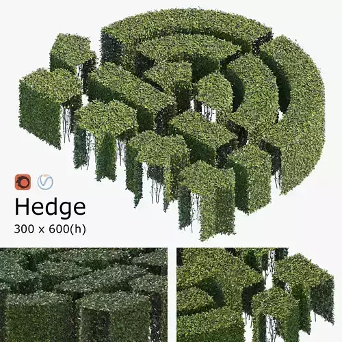 Hedge 300x600 3D model