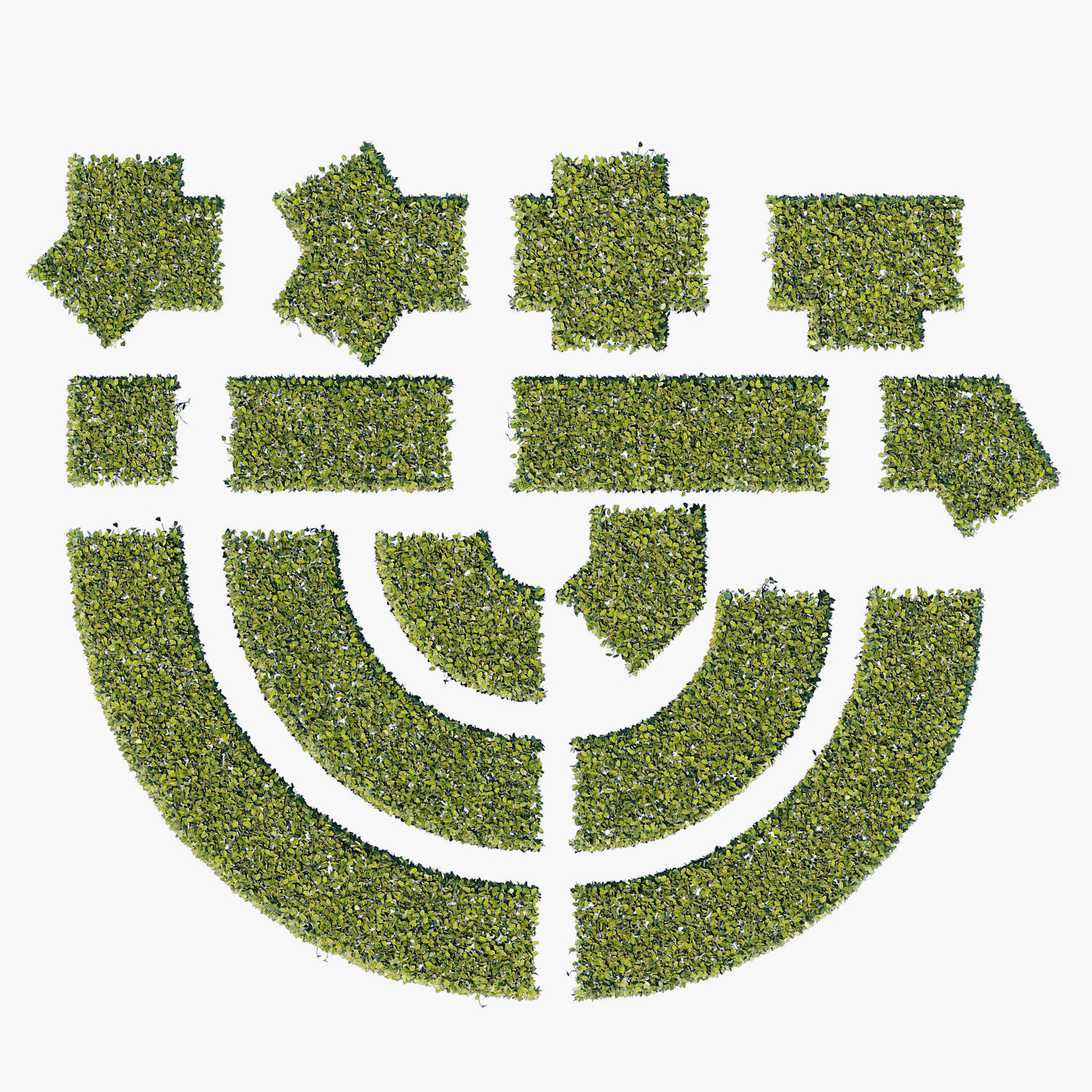 Hedge 300x600 3D model_1