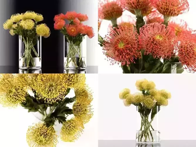 P P four flowers in vase