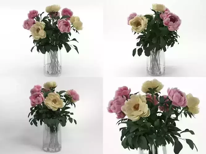 F peonies in vase