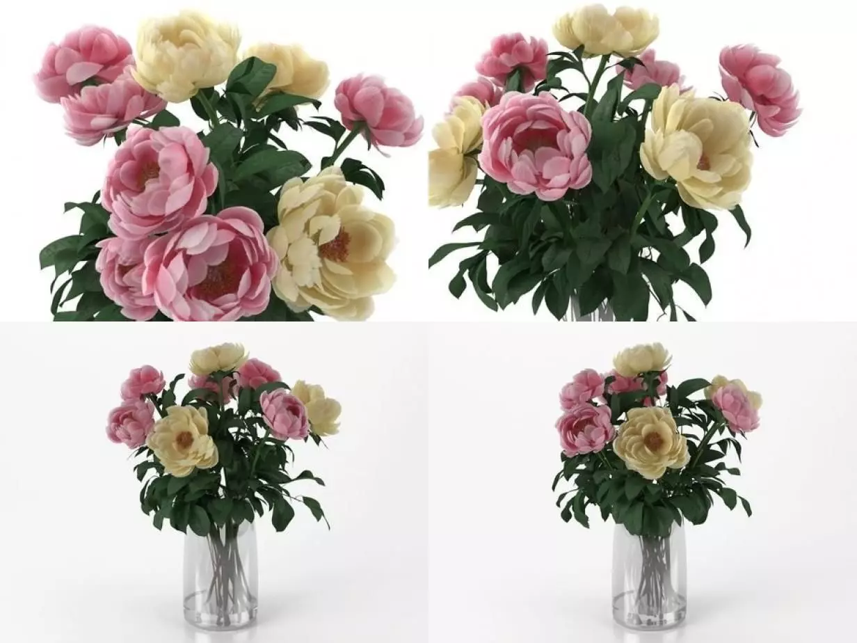 F peonies in vase 3D model_1