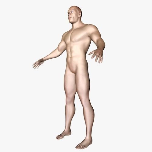 male body Low-poly 3D model