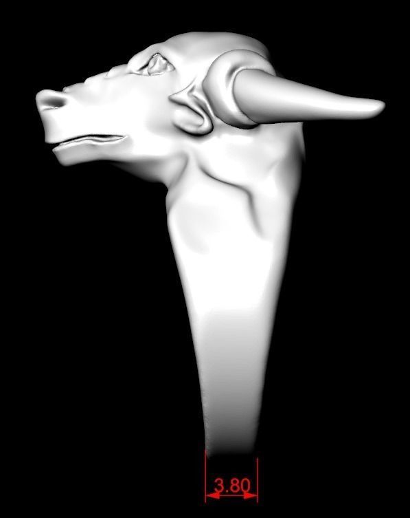 Ring bull 3D print model_9