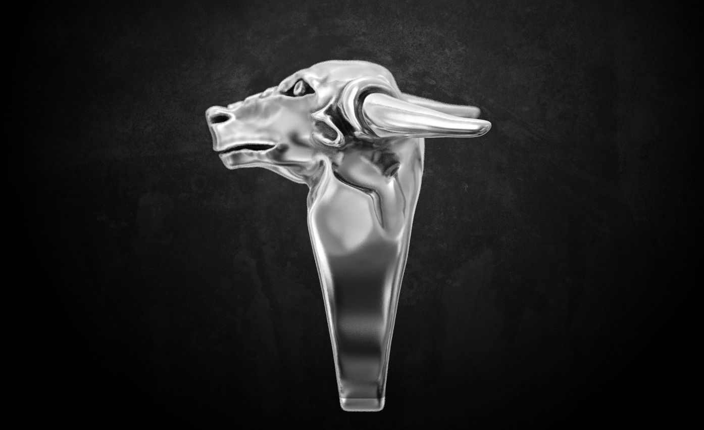 Ring bull 3D print model_3