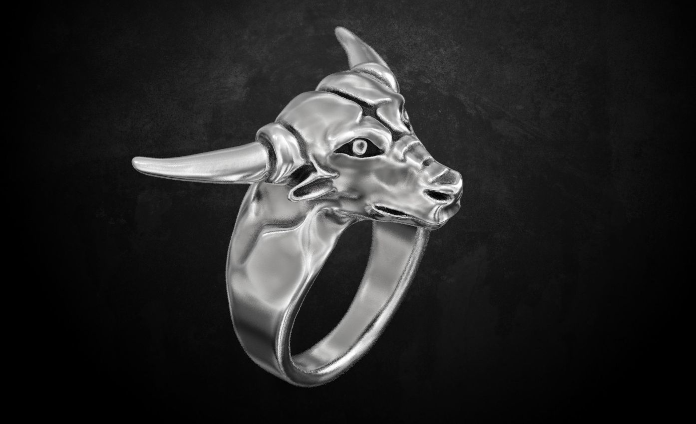 Ring bull 3D print model_2