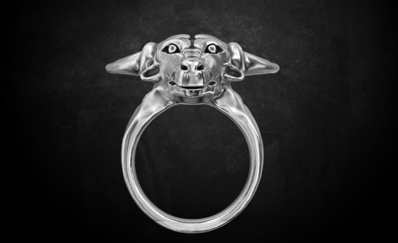 Ring bull 3D print model_5