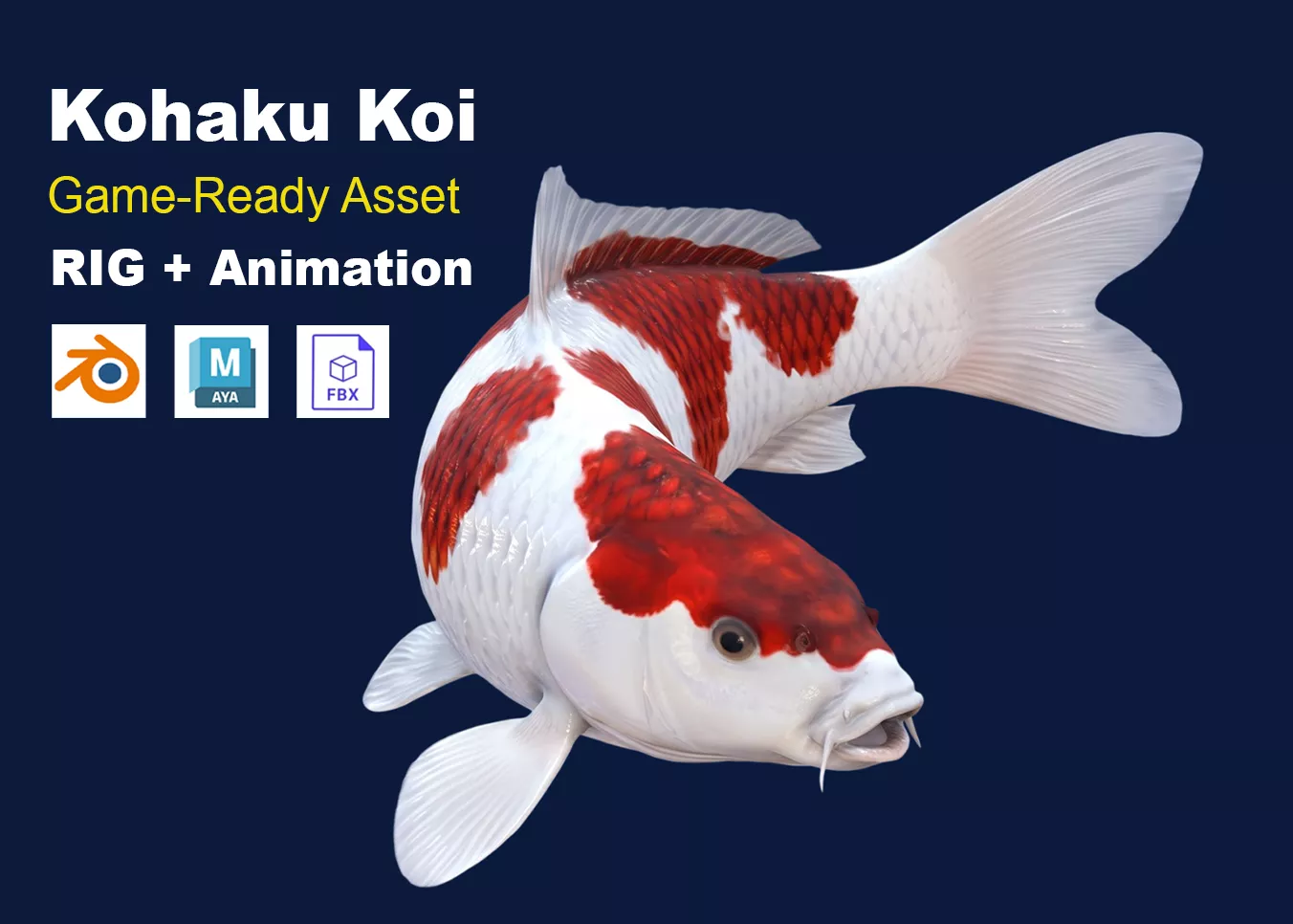 Kohaku Koi Fish Realistic Animated Low-poly 3D model