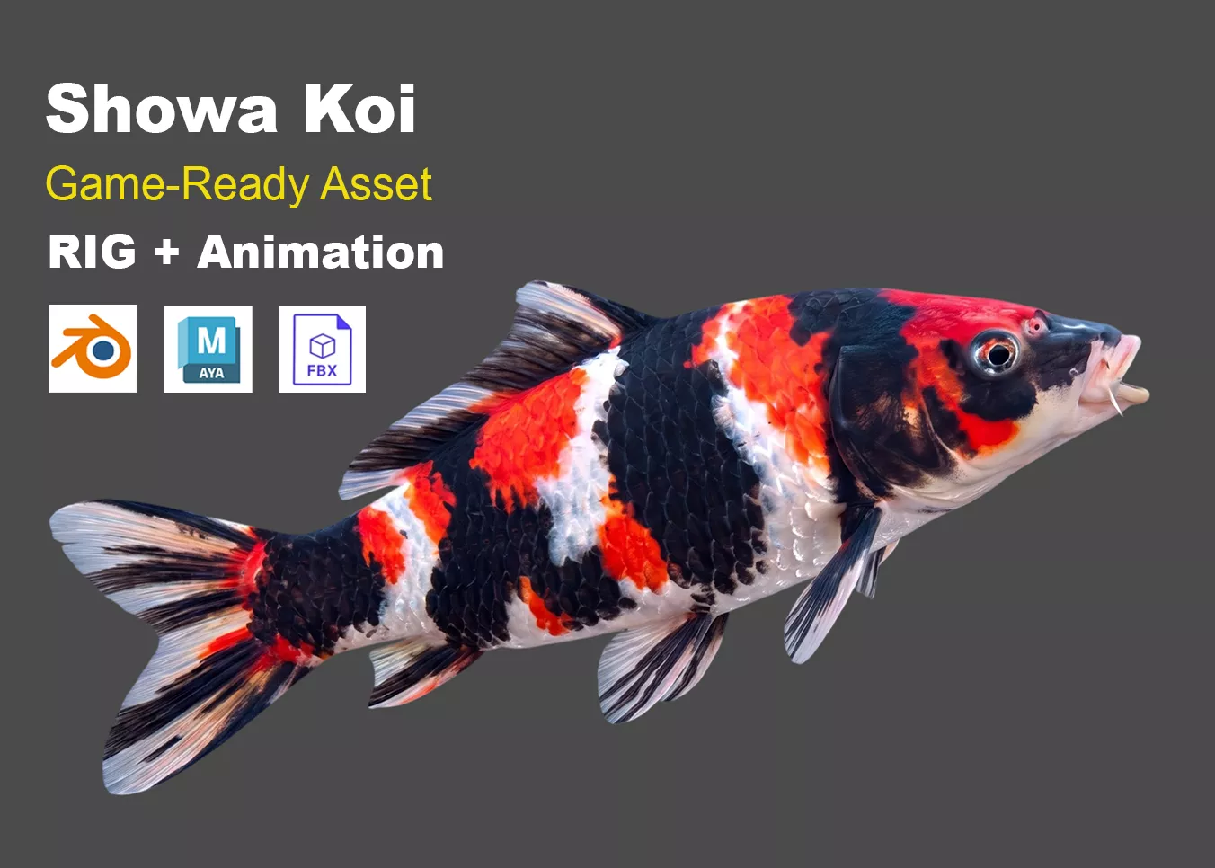 Showa Koi Fish Realistic Animated Low-poly 3D model