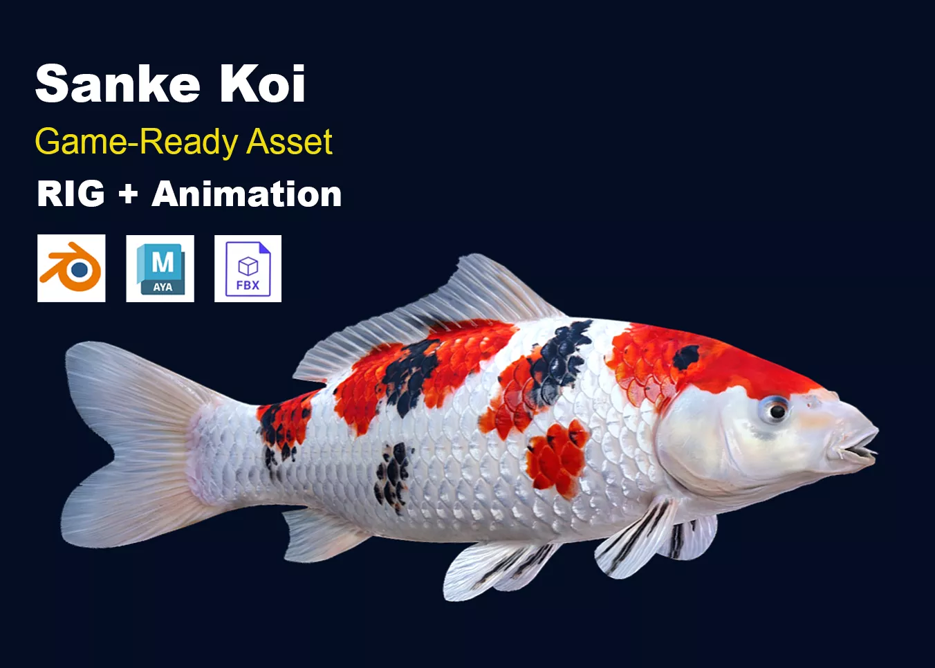 Sanke Koi Fish Realistic Animated Low-poly 3D model