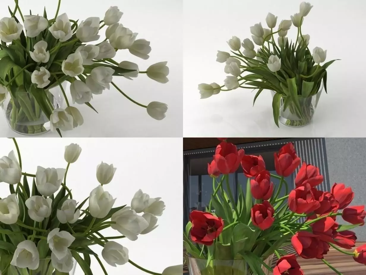 T 01 tulips in vase 3D model_1
