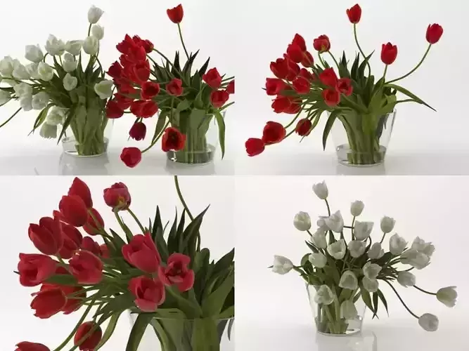 T 01 tulips in vase 3D model