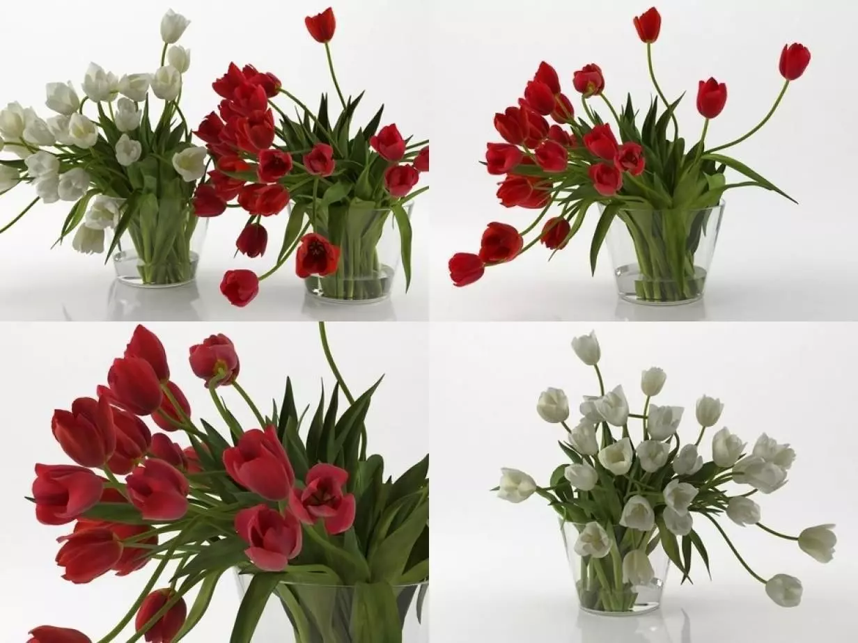 T 01 tulips in vase 3D model_0