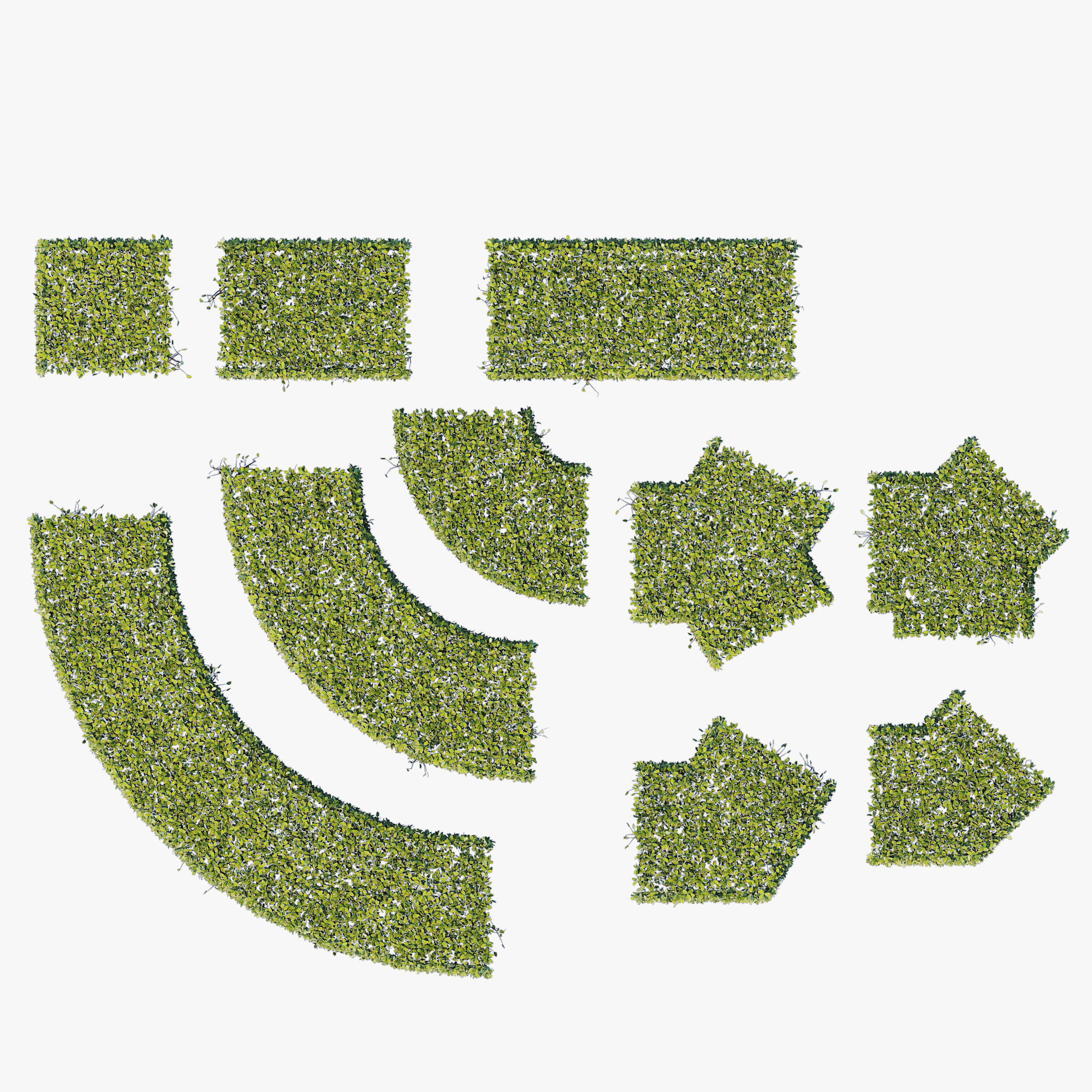 Hedge 400x400 3D model_1