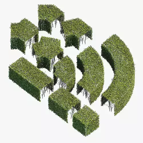 Hedge 400x400 3D model