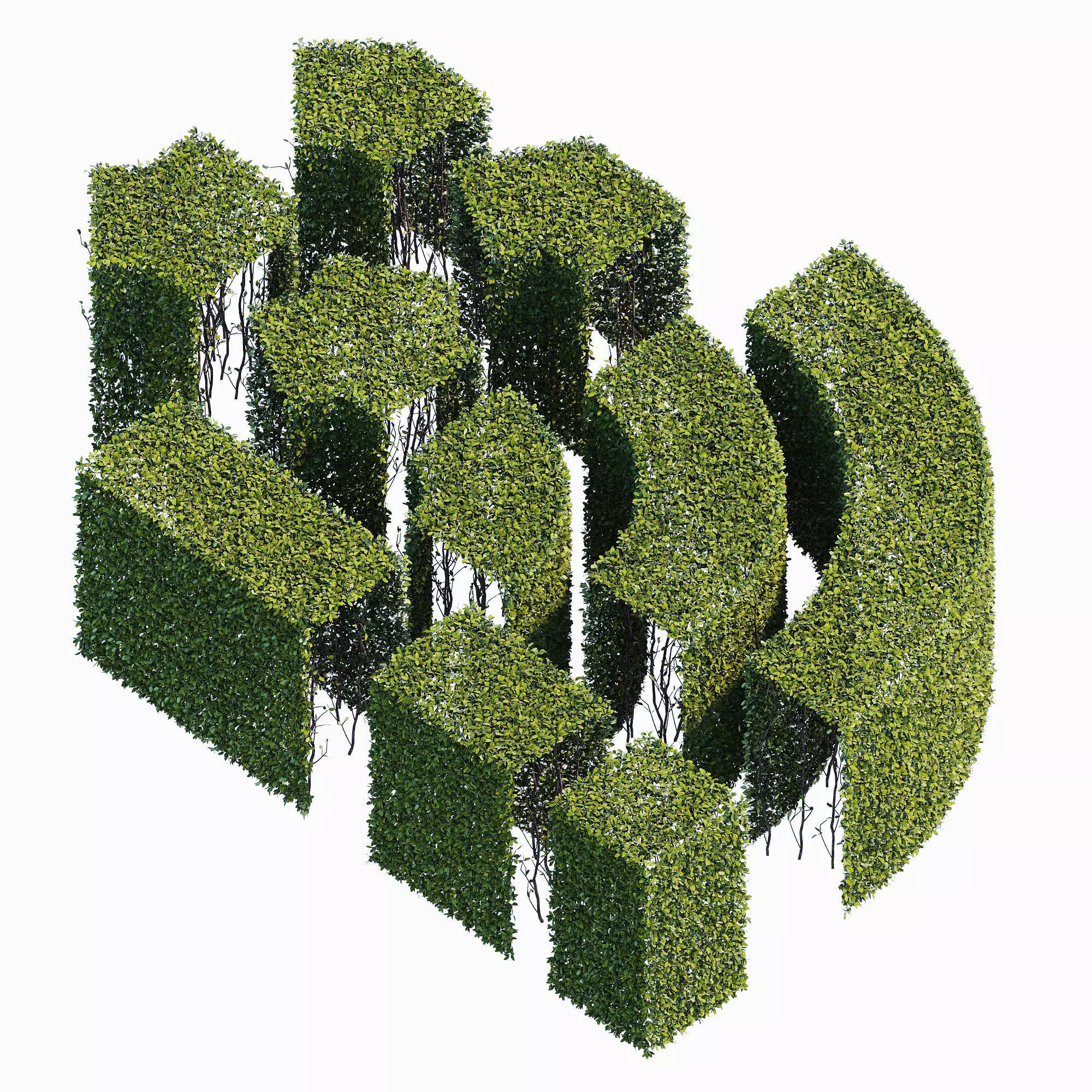Hedge 400x800 3D model_0