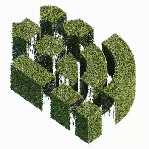 Hedge 400x800 3D model