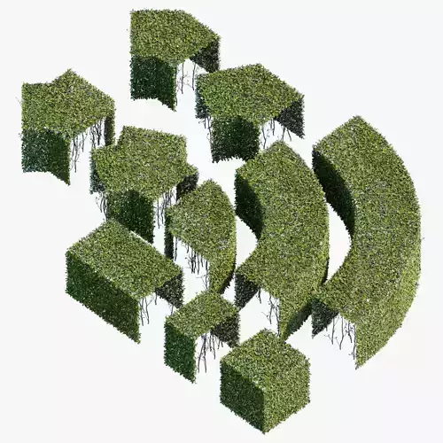 Hedge 600x600 3D model