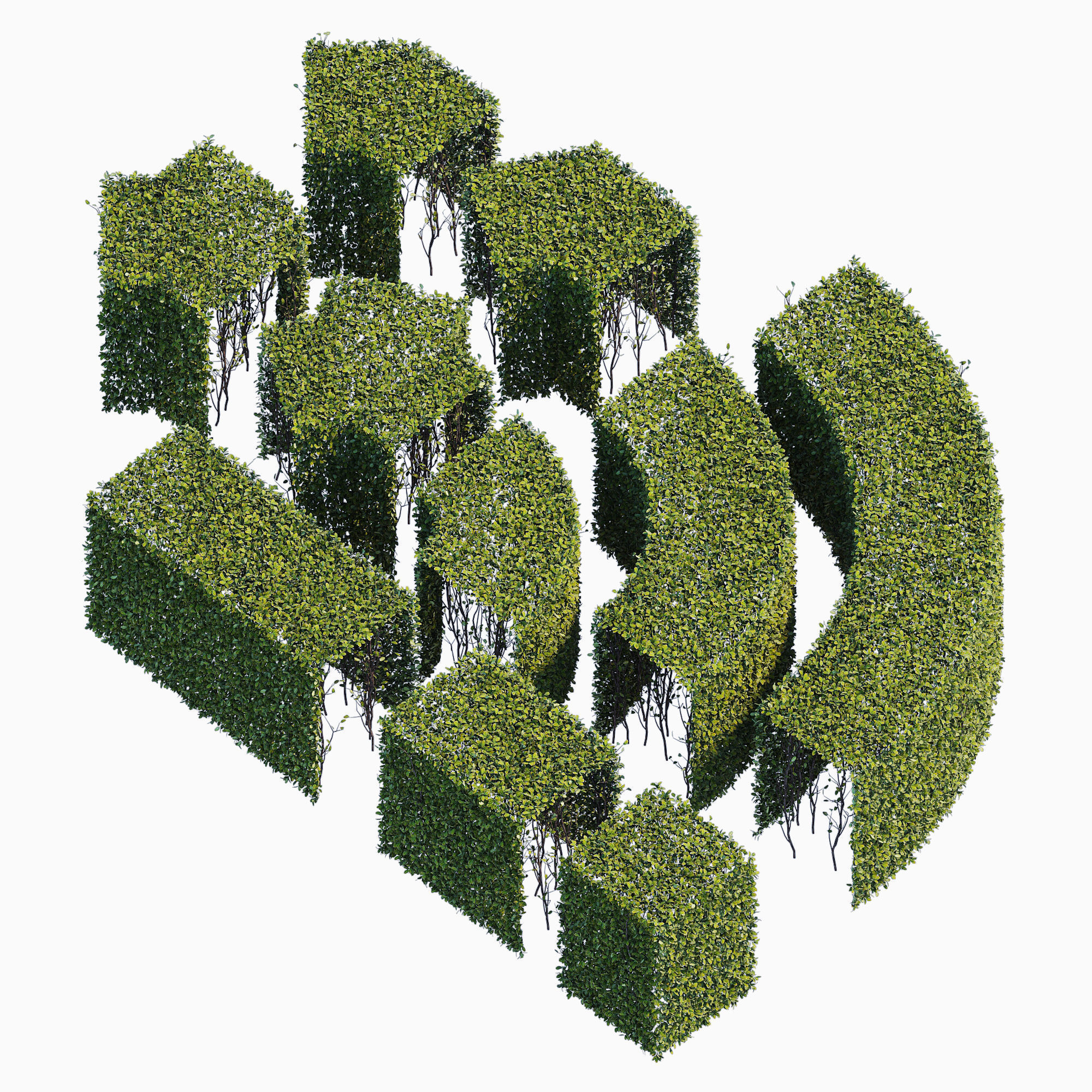 hedge collection four hedges 3D model_2